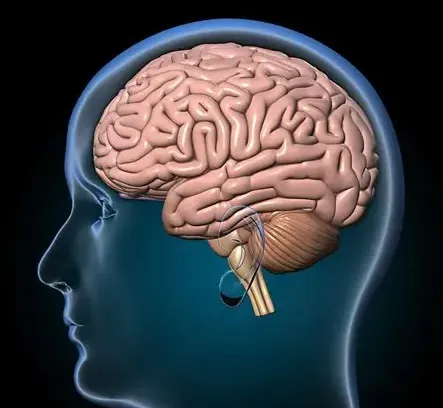 Neuro Energizer